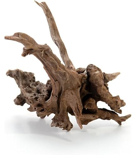 Amazon | カミハタ タイ産天然流木 ダークホーンウッド S 形状お任せ